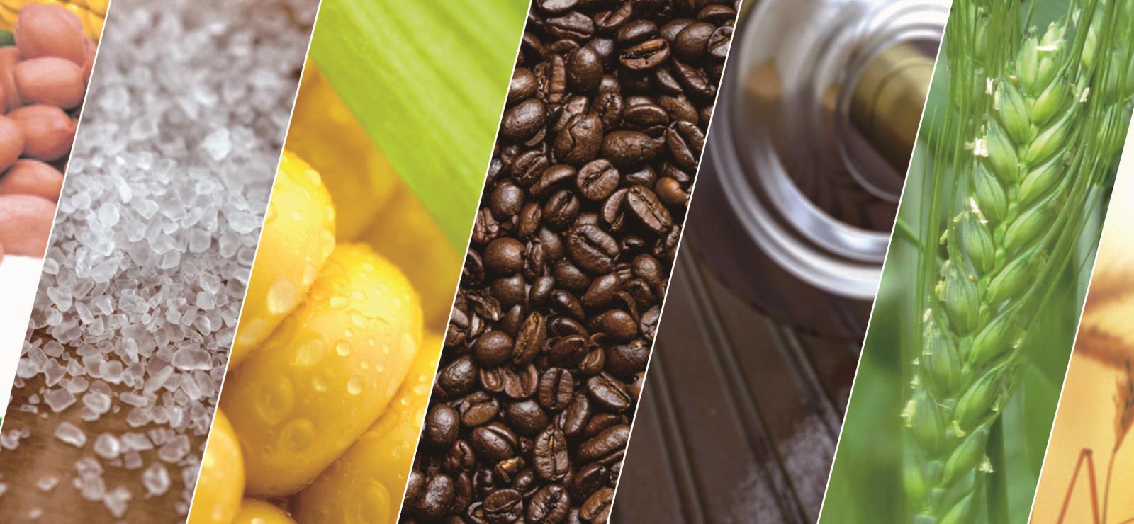 asiagame(中国集团)aisagaming